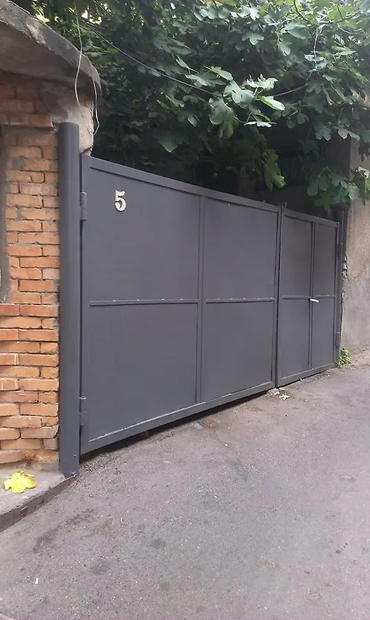 White Tiger In Center Of Tbilisi Apartment