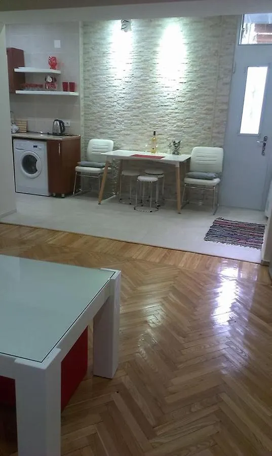 White Tiger In Center Of Tbilisi Apartment