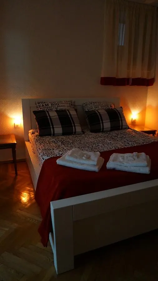 White Tiger In Center Of Tbilisi Apartment